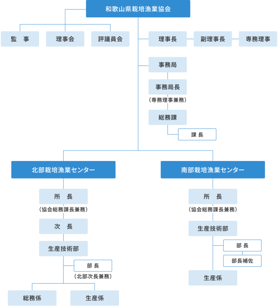 組織図